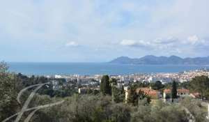 Affitto stagionale Proprietà Cannes