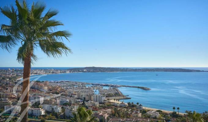 Affitto stagionale Proprietà Cannes