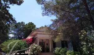 Affitto Villa Palma de Mallorca