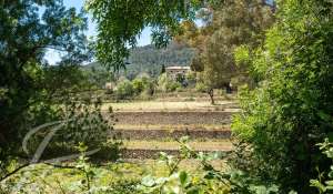 Vendita Casa Palma de Mallorca