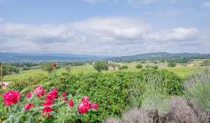 Vendita Cascina Bonnieux