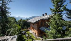 Vendita Chalet Crans-Montana