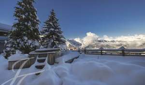 Vendita Chalet Haute-Nendaz