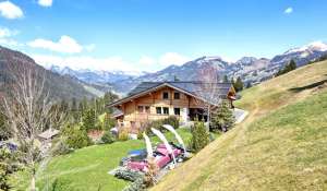 Vendita Chalet Saanen