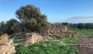 Vendita Proprietà Manacor