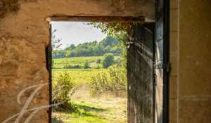 Vendita Proprietà Vaugines