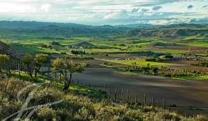 Vendita Proprietá vignicola Cuenca