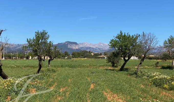 Vendita Terreno Consell