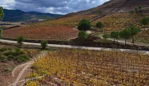 Vendita Terreno Cuenca