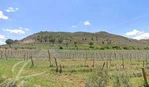 Vendita Terreno Cuenca