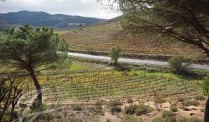 Vendita Terreno Cuenca