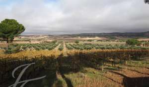 Vendita Terreno Cuenca