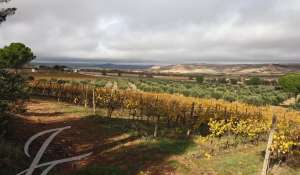 Vendita Terreno Cuenca