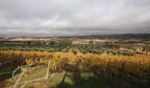 Vendita Terreno Cuenca