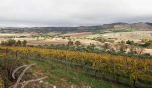 Vendita Terreno Cuenca